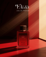 ⁦Elara⁩ - الصورة ⁦4⁩